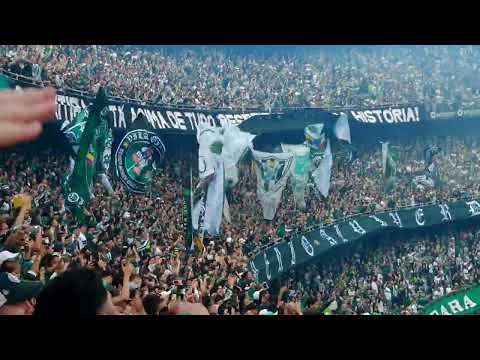Coritiba 1x0 Flamengo - 06 de novembro de 2022. Show da torcida Coxa na entrada do time em campo