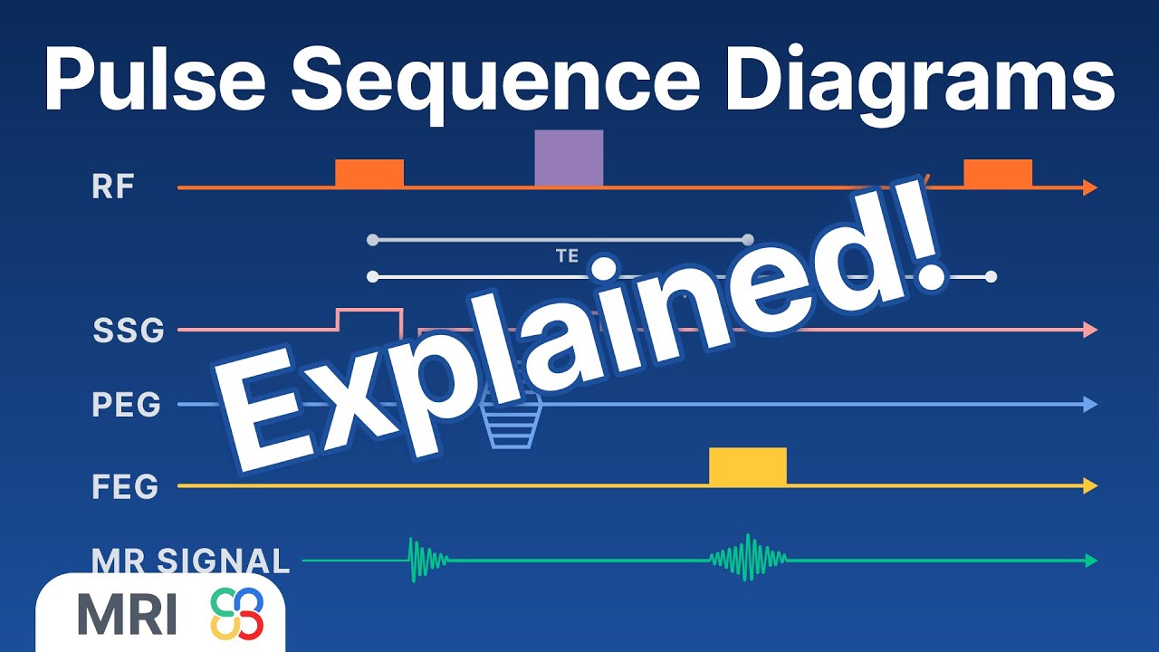 How to interpret a Pulse Sequence Diagram - MRI explained