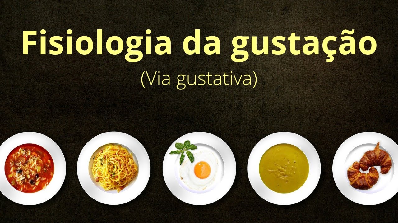 Fisiologia da gustação (via gustativa)