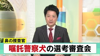 10月31日【びわ湖放送ニュース】