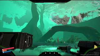 Watching the Rain - Project Canopy