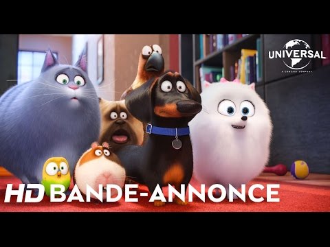 Comme des bêtes Universal Pictures International France / Illumination Entertainment