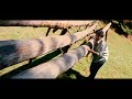 Aijth Thala Love Status Videos Requested Song Ultra 4K 60 FPS 5 1 Audio DTS Song
