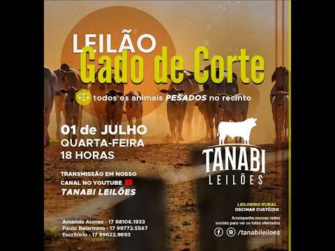 Tanabi Leilões - AO VIVO - 01/07/2026