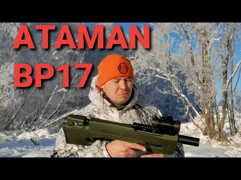 PCP винтовка ATAMAN BP17. Очень на любителя или неудачный экземпляр?