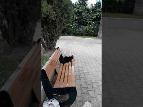 Progressdesignartchannel