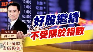 好股繼續不受限於指數