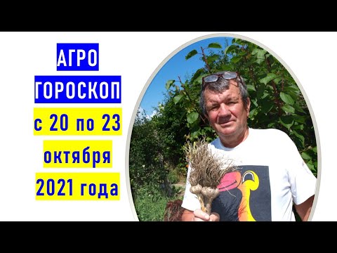 , title : 'Агрогороскоп с 20 по 23 октября 2021 года ПЛЮС'