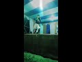 Raja Raja Kareja Mei Samaja Arkestra Babupur Hot Video