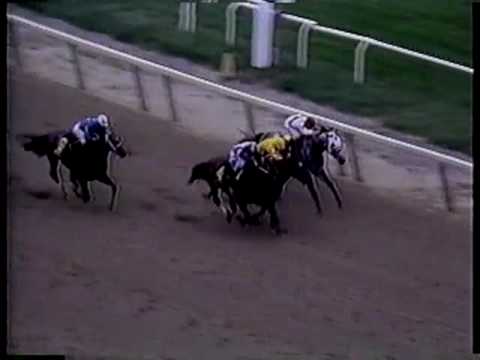 Alysheba - 1988 Woodward Stakes
