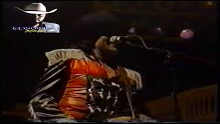 mi potranquita BRONCO