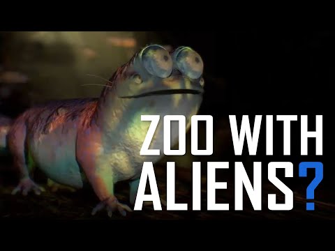 Dreamscape Immersive