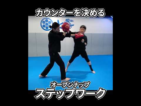 近接強烈カウンター術、オープンナップステップとは　 #ワンインチチャンネル #石井東吾