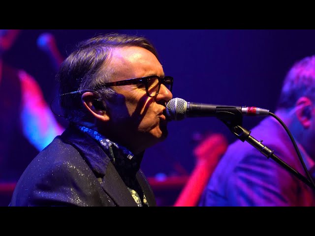 Squeeze - Cool For Cats (Live at Liverpool Philharmonic, 2019)