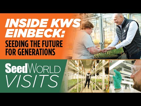 How KWS Is Creating Seeds For The Future | Seed World Visits