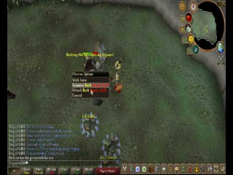 Runescape guide on killing Bork