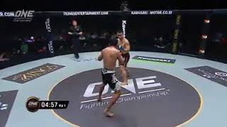 MMA fighting video