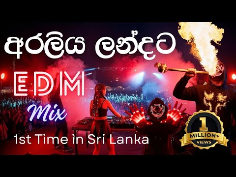 Araliya Landata Cover | අරලිය ලන්දට | EDM | 3 Versions Remix by REDA Music