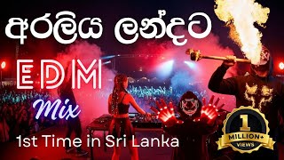 Download lagu Araliya Landata Cover | අරලිය ලන්දට | EDM | 3 Versions Remix by REDA Music mp3