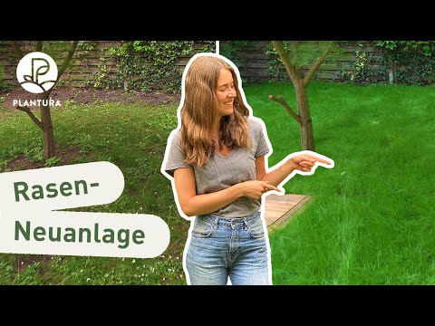 Rasen neu anlegen - Schritt für Schritt (Anleitung)