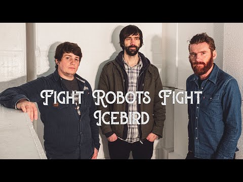 Icebird (Official Video)
