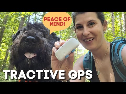 Tractive GPS Tracker Review