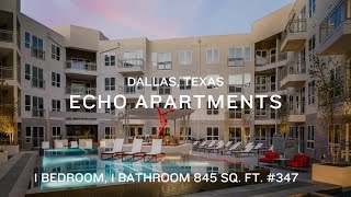 Echo Apartments, Dallas, TX: 1 Bedroom