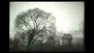 "Fools Gold" The Honor System