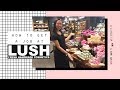 HOW TO GET A JOB AT LUSH | TIPS & ADVICE