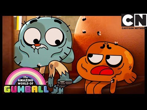 Gumball | Gumball and Darwin Fend For Themselves | Cartoon Network