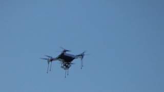 Iris follow me on Ben 1 30 2017