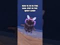 Do This Glitch In DTI
