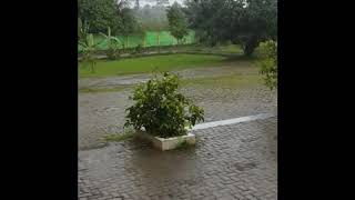 Download lagu Sio ado status wa mp3