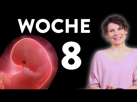 Week 8 of pregnancy - Your early pregnancy week by week