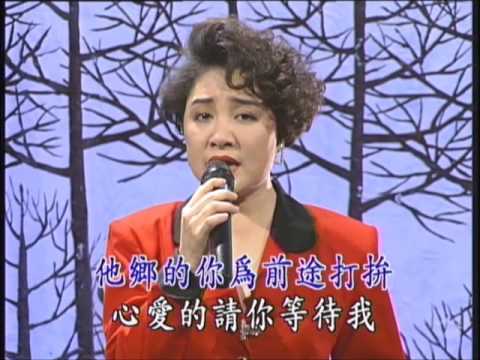 陳盈潔 & 陳百潭【情歌對唱 1】流浪的歌聲 (高清 吉馬唱片LD版)
