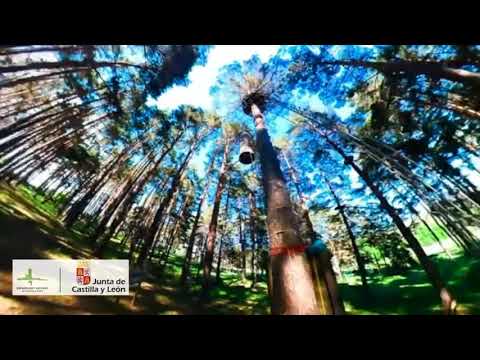 Parque de Aventuras en Hoyos del Espino