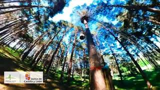 Parque de Aventuras en Hoyos del Espino