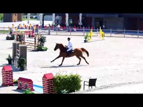 FEI Jumping Hippo Arena Samorin 4. 8. 2018
