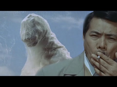 Mothra vs  Godzilla but it's out of context