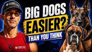 Top 5 Big Dog Breeds That Are Easier Than You Think