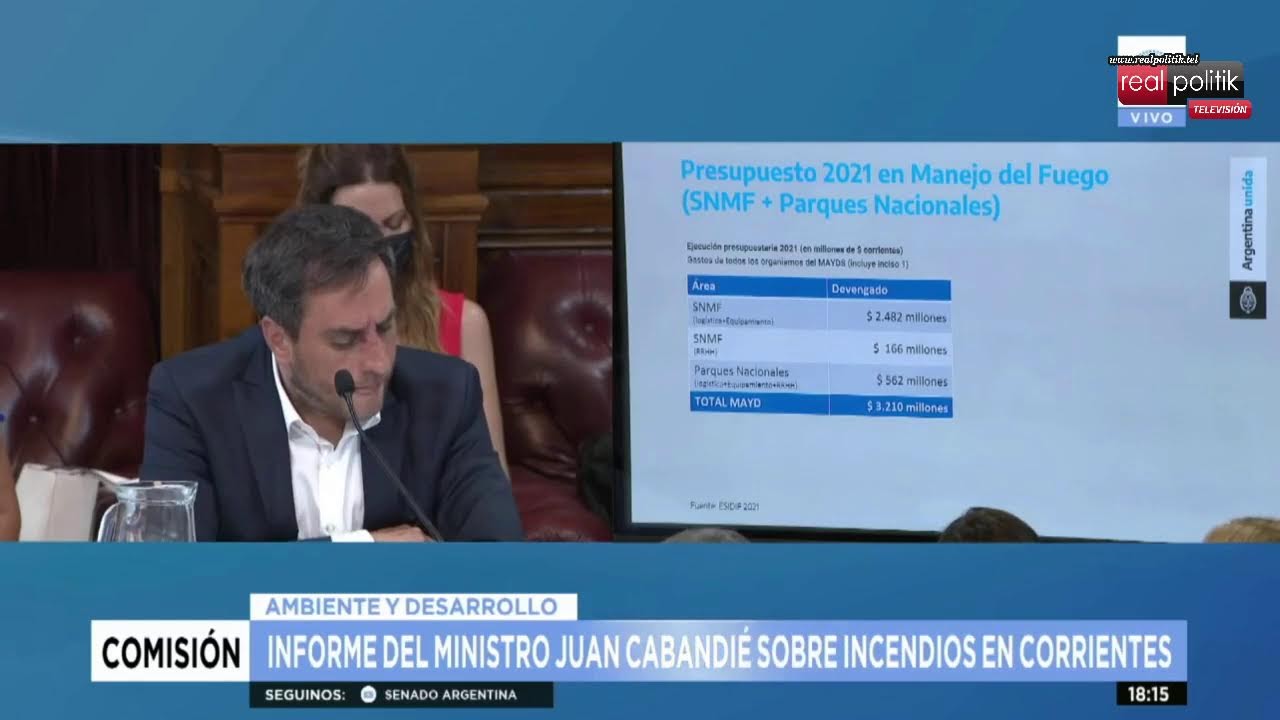 "El 95% de los incendios son por acción humana", señaló Cabandié