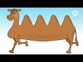 Barney Sally The Camel