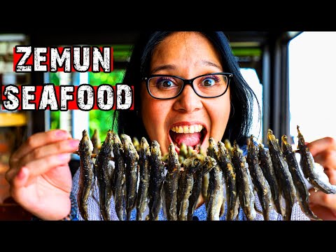 A MUST VISIT GEM IN SERBIA | ZEMUN, THE MOST BEAUTIFUL PLACE | Day trip in Belgrade 🇷🇸