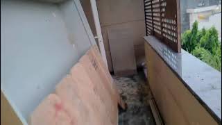 174 yard 3-BHK Flat will win Your heart | Dream 3BHK flat for sale in Priyadarshini Vihar
