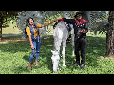 Robin. J X Rt Butkoon - Phool Tumhe [Official Music Video] (2025 Bollywood Remix)