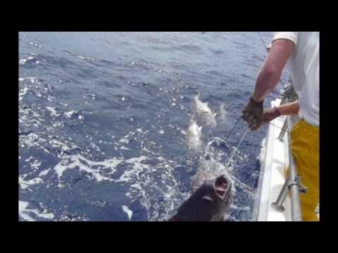 Deep Drop Commercial - Full HouseHD 2019