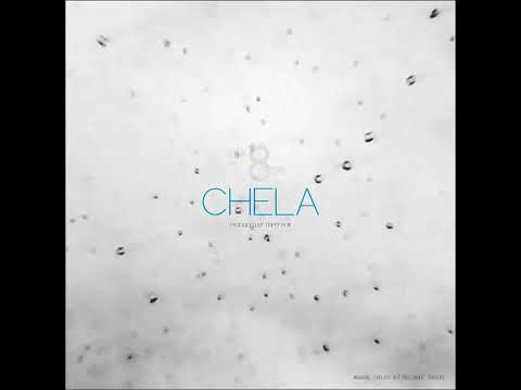 StaxXx - CHELA! ( Official Visualizer)