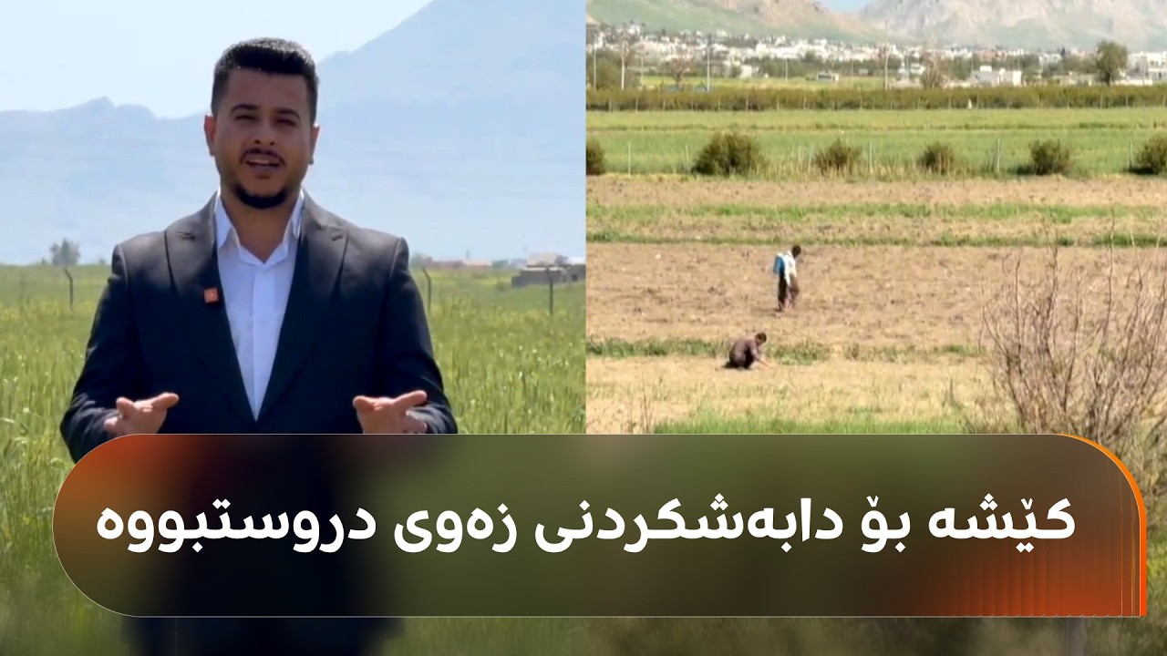 ڤیدیۆ | لە راپەڕین کێشە بۆ دابەشکردنی زەوی بەسەر فەرمانبەران دروستبووە و راگیراوە، کێشەکە چییە؟
