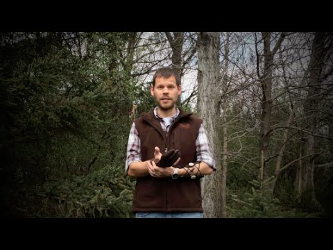 S3 Archery - Product Review: Damascus Shooting Glove