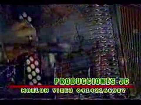 AMANTE PERFECTA - LAS MUSAS DEL VALLENATO